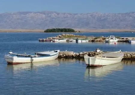 Despini Privlaka (Zadar)