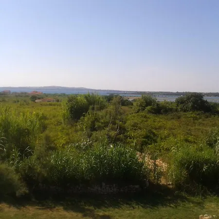 Despini Privlaka (Zadar)